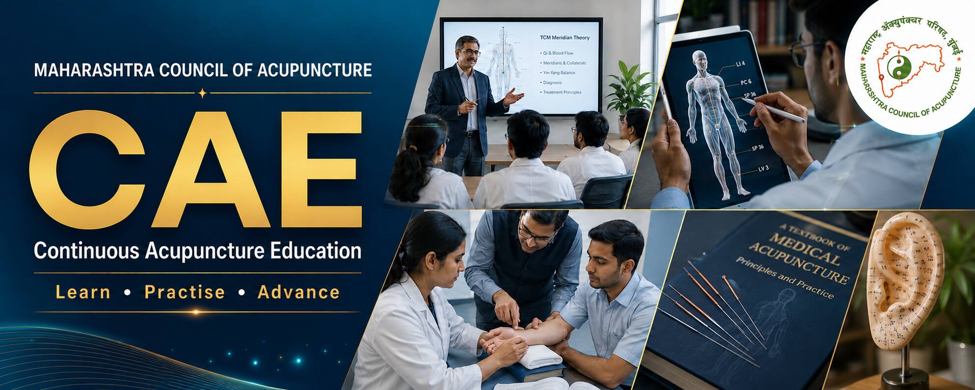 Acupuncture classroom, meridian and point location education